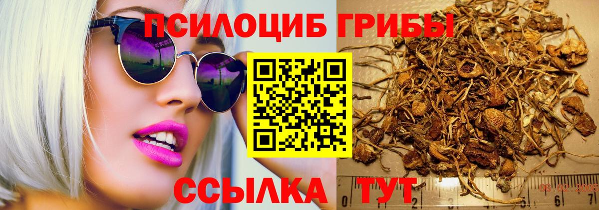 Галлюциногенные грибы Magic Shrooms Белая Калитва